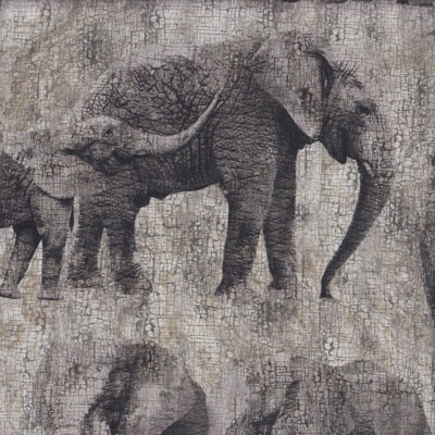 Elephants category