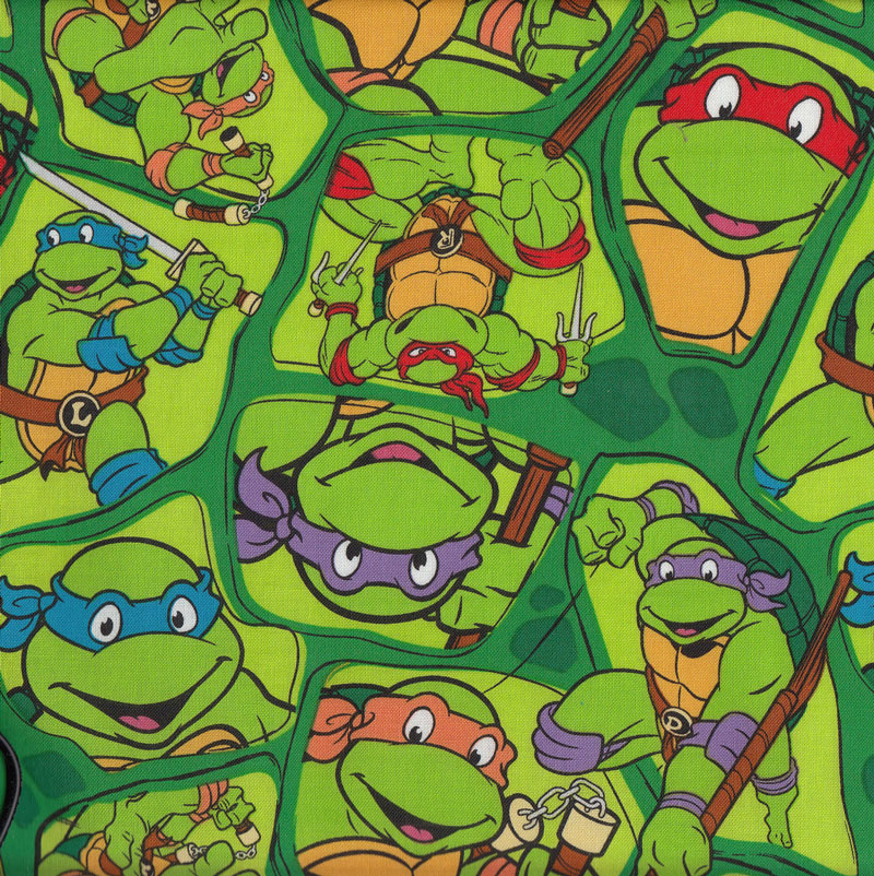 Teenage Mutant Ninja Turtles category
