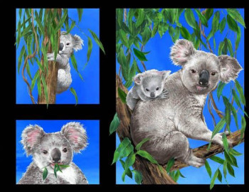 Australian Koala Bears in Eucalyptus Trees Quilting Fabric Panel