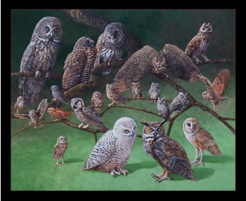 Realistic Owl Breeds on Branch Birds Wildlife Quilting Fabric Panel