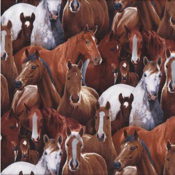 Brown Grey Horses Farm Animal Country Pony Foal Quilting Fabric