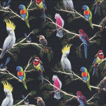 Australian Birds of The Bush Parrots Branches on Black Quilting Fabric