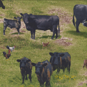 Black Cattle Cows Quilting Fabric