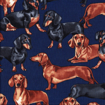 Dachshunds on Navy Quilt Fabric