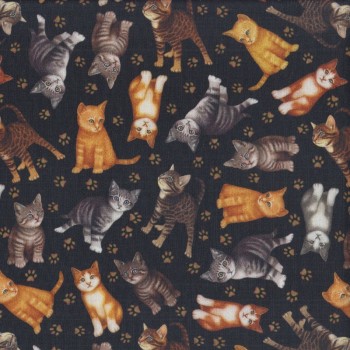 Gorgeous Kittens on Black Assorted Breeds Felicity Cats Quilting Fabric