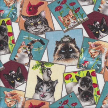 Curious Cats in Squares Birds Flowers on Cream Quilting Fabric