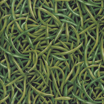 Green Beans on Black Veggie Quilting Fabric
