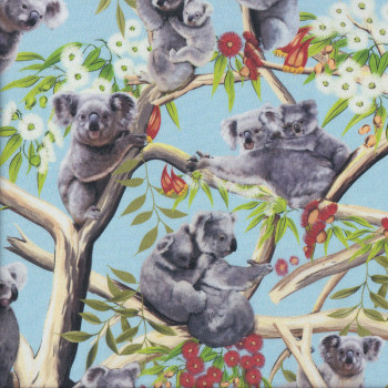 Koalas on Light Blue Gumnut Flowers Australian Animal Quilting Fabric