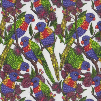 Colourful Lorikeets Birds on White Wonderful Wings Quilting Fabric