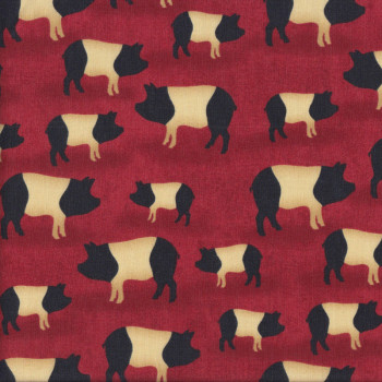Black and Cream Saddleback Pigs on Red Quilting Fabric