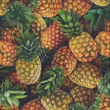 Pineapples Pineapple Fruit Kitchen Quilting Fabric