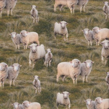 Sheep Lambs on Grass Merino Muster Farm Quilting Fabric