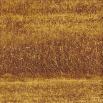 Fields of Wheat Paddocks Nature Landscape Quilting Fabric