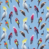 Australian Birds of The Bush Parrots Lorikeet on Blue Quilting Fabric
