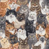 Cat Breeds Tabby Siamese Ragdoll Quilting Fabric