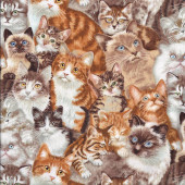 Cat Breeds Tabby Burmese Ragdoll Kittens Quilting Fabric
