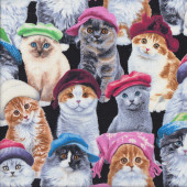 Cats Kittens with Hats Cat Breeds on Black Quilting Fabric