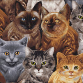 Assorted Cat Breeds Tabby Grey Brown Ginger Pet Quilting Fabric