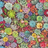 Small Colourful Succulents Pot Plant Garden Gardening Quilting Fabric