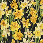 Yellow Daffodil Jonquil Flowers Quilt Fabric