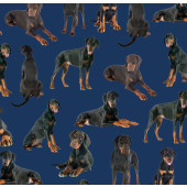 Dobermann Dogs on Navy Doberman Quilting Fabric 