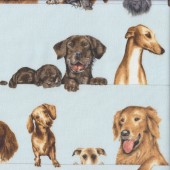 Assorted Dog Breeds in Rows on Light Blue Quilting Fabric