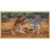 Red and Grey Kangaroo With Joey Quilting Fabric Panel