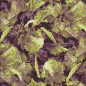 Coral Lettuce Leaves Quilting Fabric