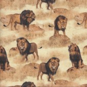 Lions Roaring Savannah Wildlife African Safari Quilting Fabric