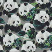 Panda Bears on Grey Quilting Fabric