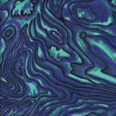 New Zealand Paua Shell Design Blue Green NZ Quilting Fabric