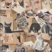 Playful Cats in Boxes Purrfect Hangout Kittens Quilting Fabric