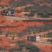 Road Trains Australian Outback Livestock Trucks Quilting Fabric