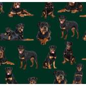 Rottweiler Dogs on Green Rottweilers Quilting Fabric 