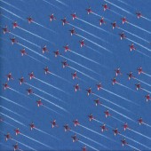 Aeronautical Stunt Planes Aircraft Air Force Centenary Quilting Fabric