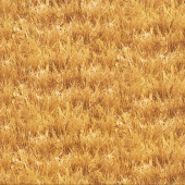 Wheat Nature Landscape Design Quilt Fabric