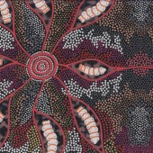 Australian Indigenous Witchety Grub by Audrey M Napanangka Quilting Fabric