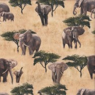 Wild Elephant Herd Savannah African Safari Quilting Fabric