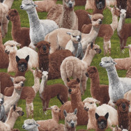 Alpacas on Green Grass Farm Animal Country Quilting Fabric