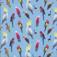 Australian Birds of The Bush Parrots Lorikeet on Blue Quilting Fabric