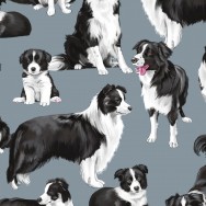 Border Collie Dogs Pet Animal Quilting Fabric