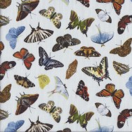 Beautiful Butterflies on Light Blue Insect Quilting Fabric