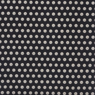 Clear Buttons on Black Quilting Fabric