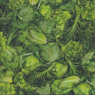 Cabbage Lettuce Kale Kitchen Vegetables Quilting Fabric