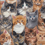 Cats Kittens Quilting Fabric
