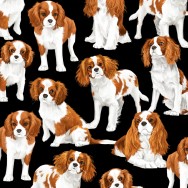 Cavalier King Charles Spaniel Dogs Pet Animal Quilting Fabric