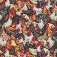 Chickens Roosters Hens Lay an Egg Farm Animal Quilting Fabric