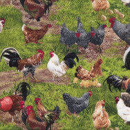 Chickens Hens Roosters Farm Animal Country Bird Quilt Fabric