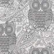 Owls on White Color Quilting Fabric