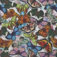 Colourful Butterflies Butterfly Insect Quilting Fabric